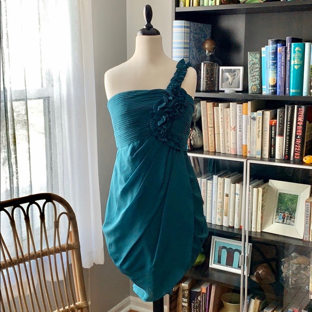 Gorgeous BCBGMaxAzria dress
